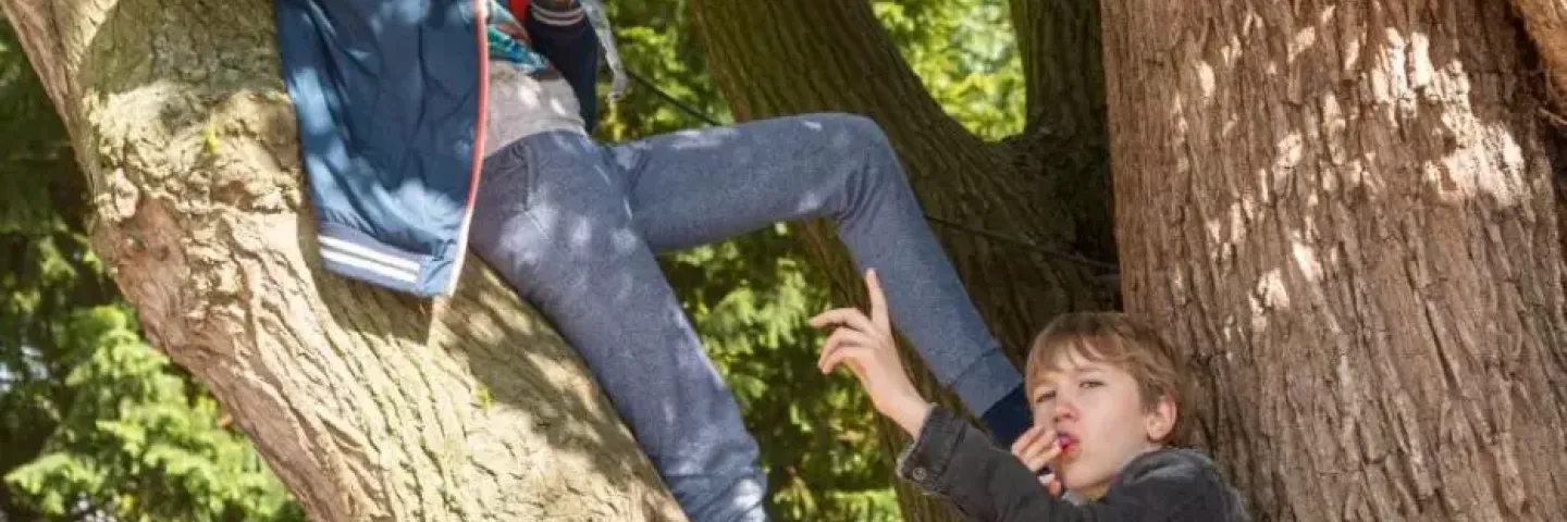 2019 Aleks Fotografie 10820acc 279b 45d3 99f9 c3b7e75b6952