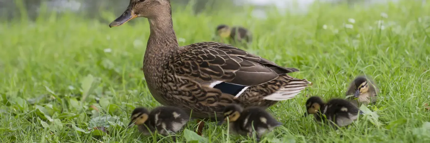 2024 zaterdag Maike Kloet 029