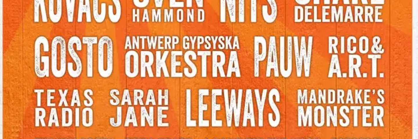 Poster BAM! Festival 2015